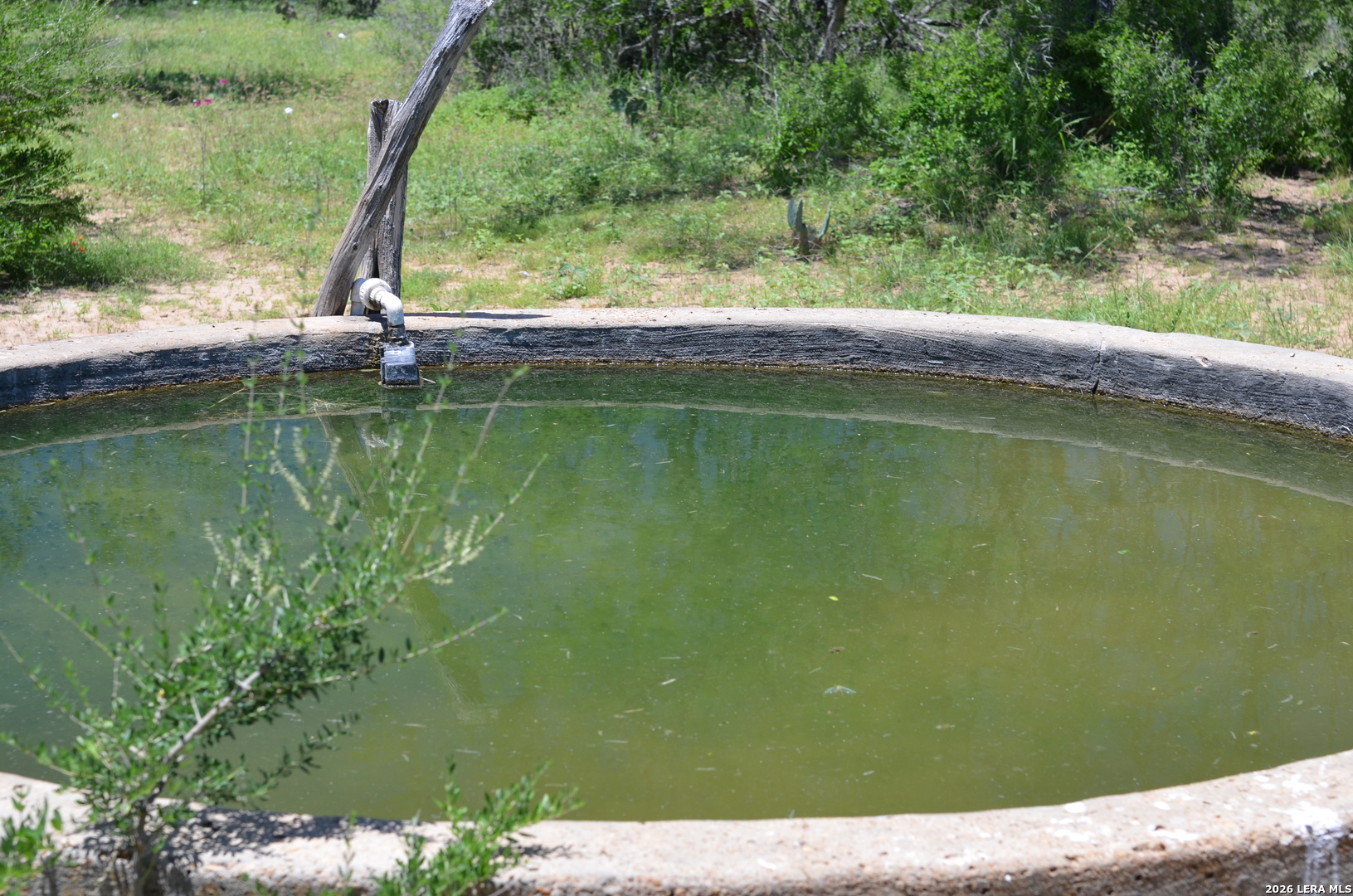 main property photo 17