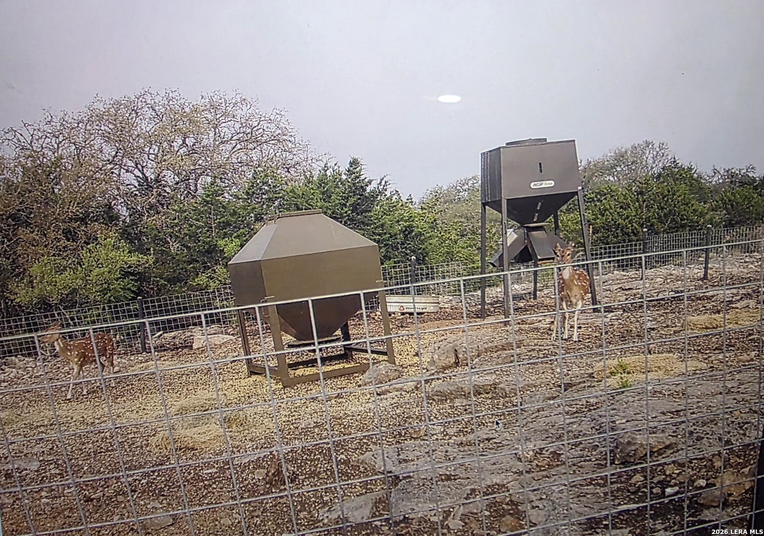 main property photo 66