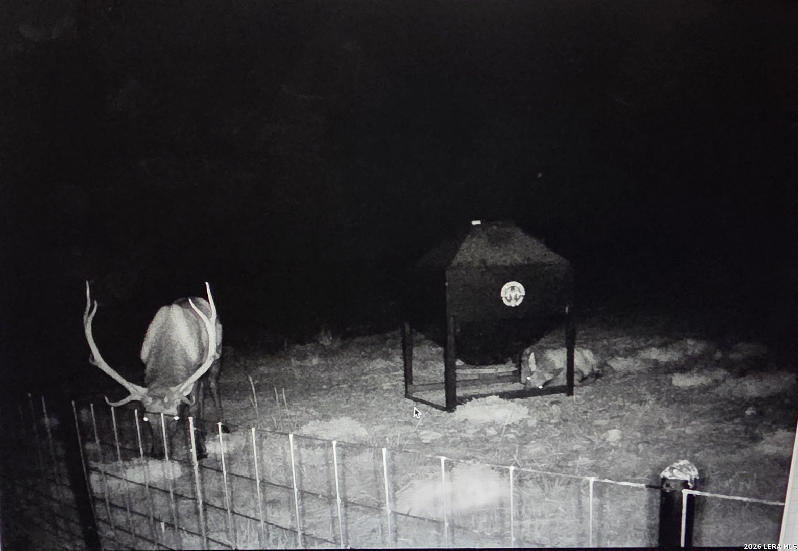 main property photo 68