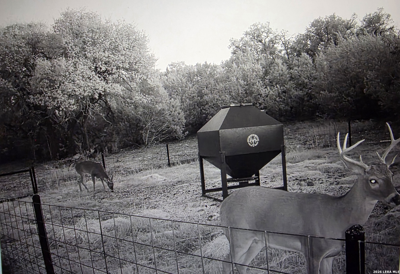 main property photo 71