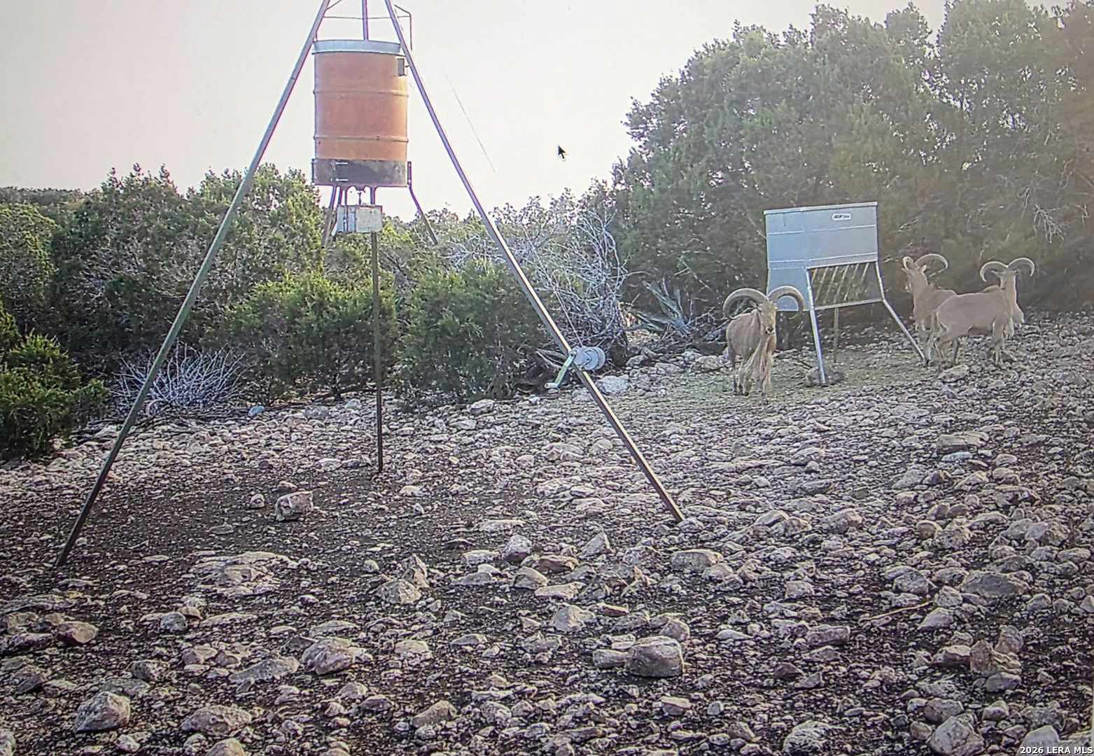 main property photo 77