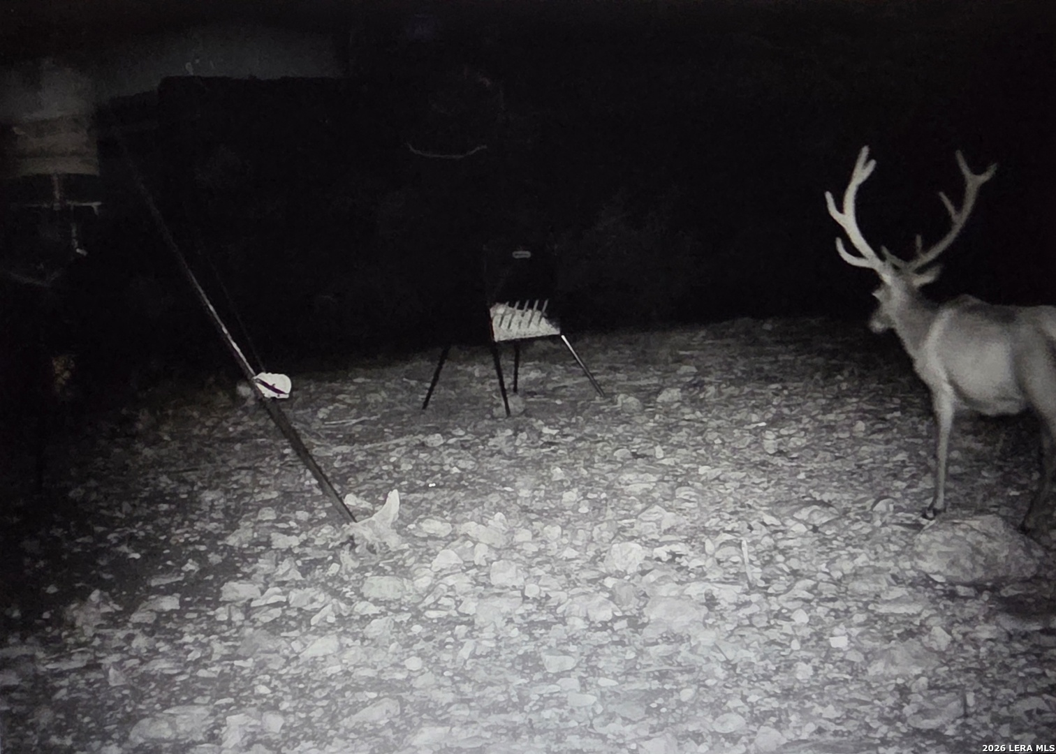 main property photo 79