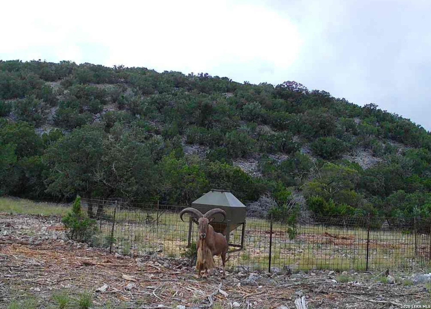 main property photo 82