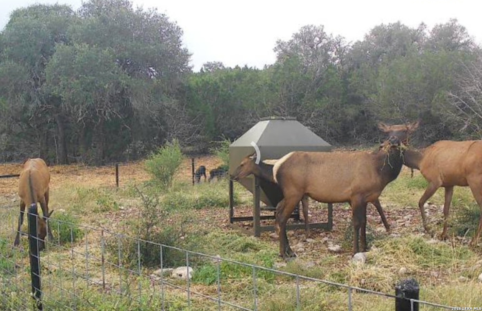main property photo 83