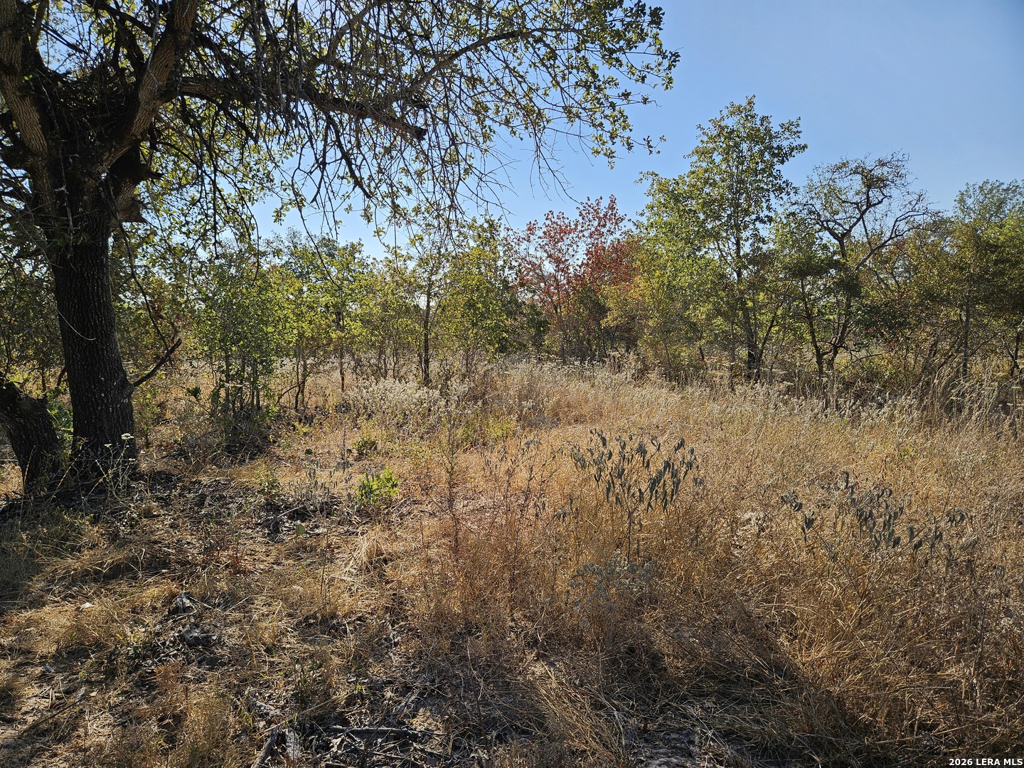 main property photo 40