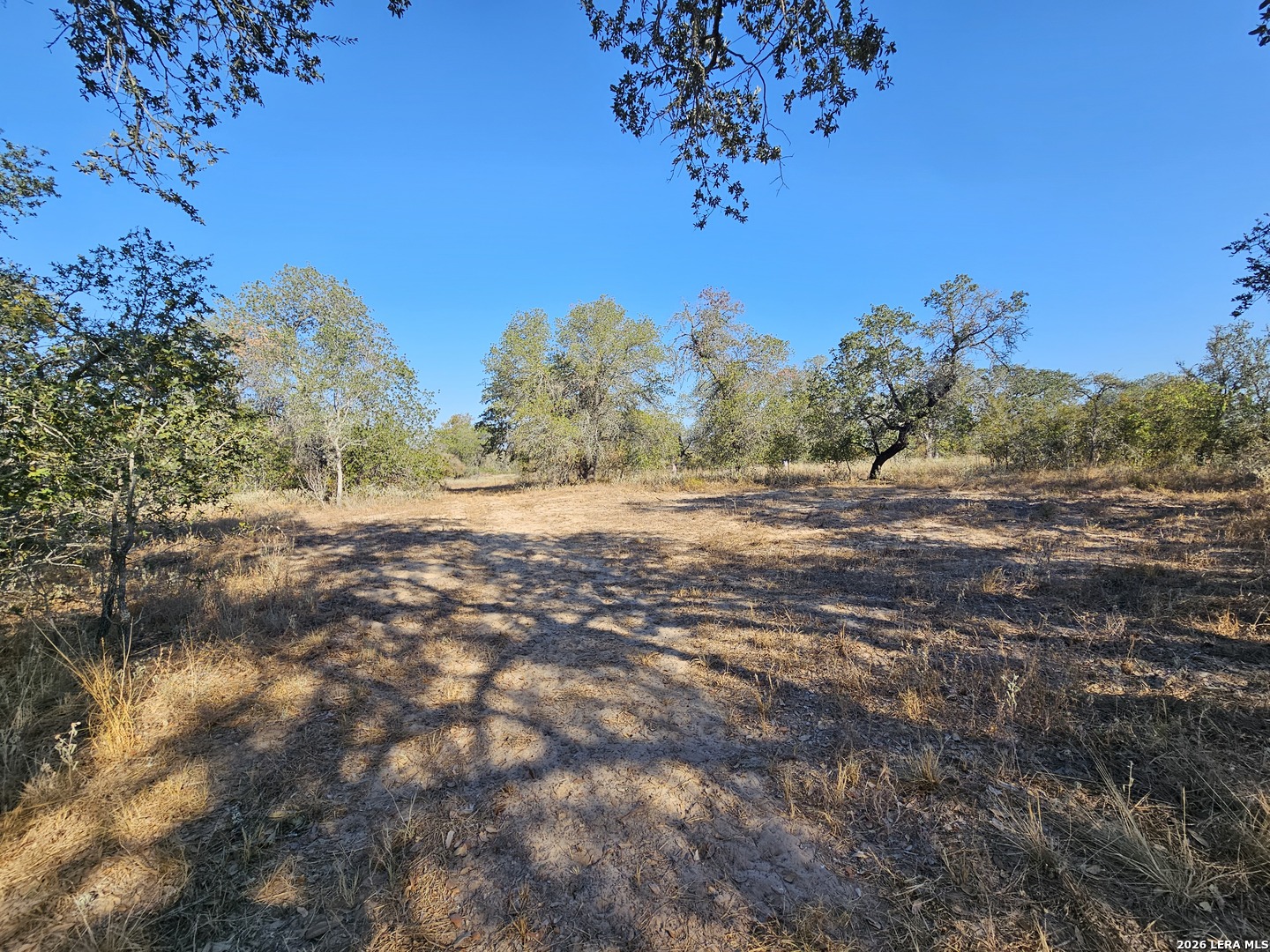 main property photo 42
