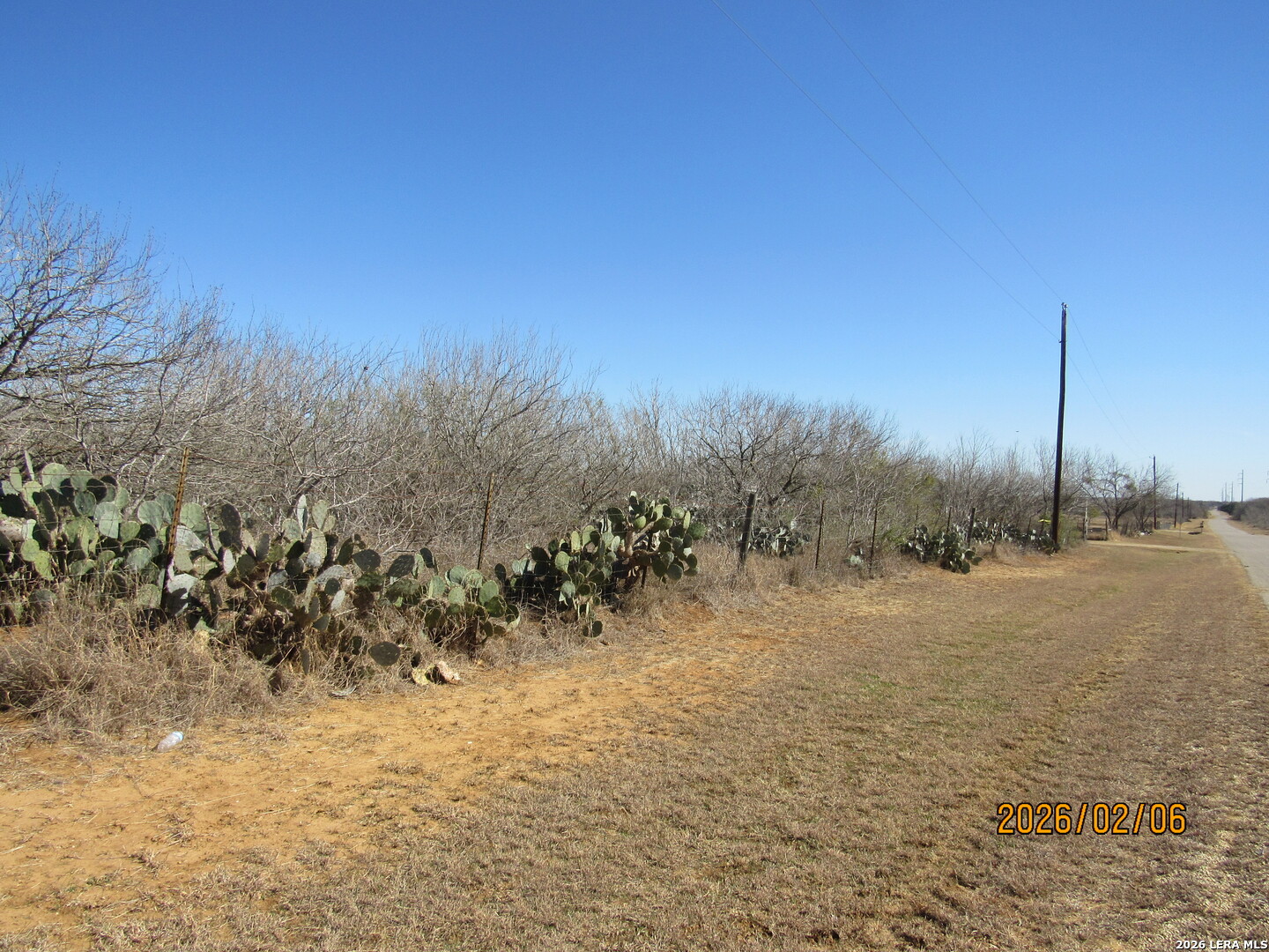 main property photo 5