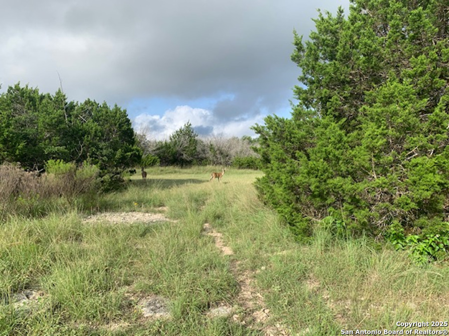 main property photo 17
