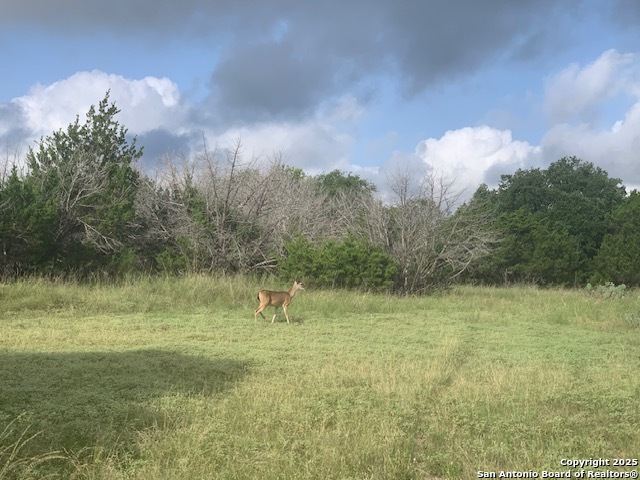 main property photo 25