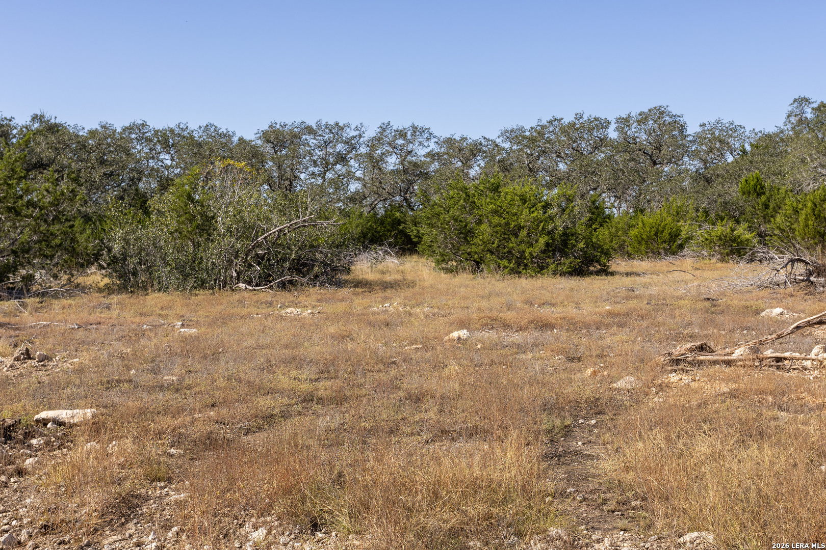 property viewer photo 4