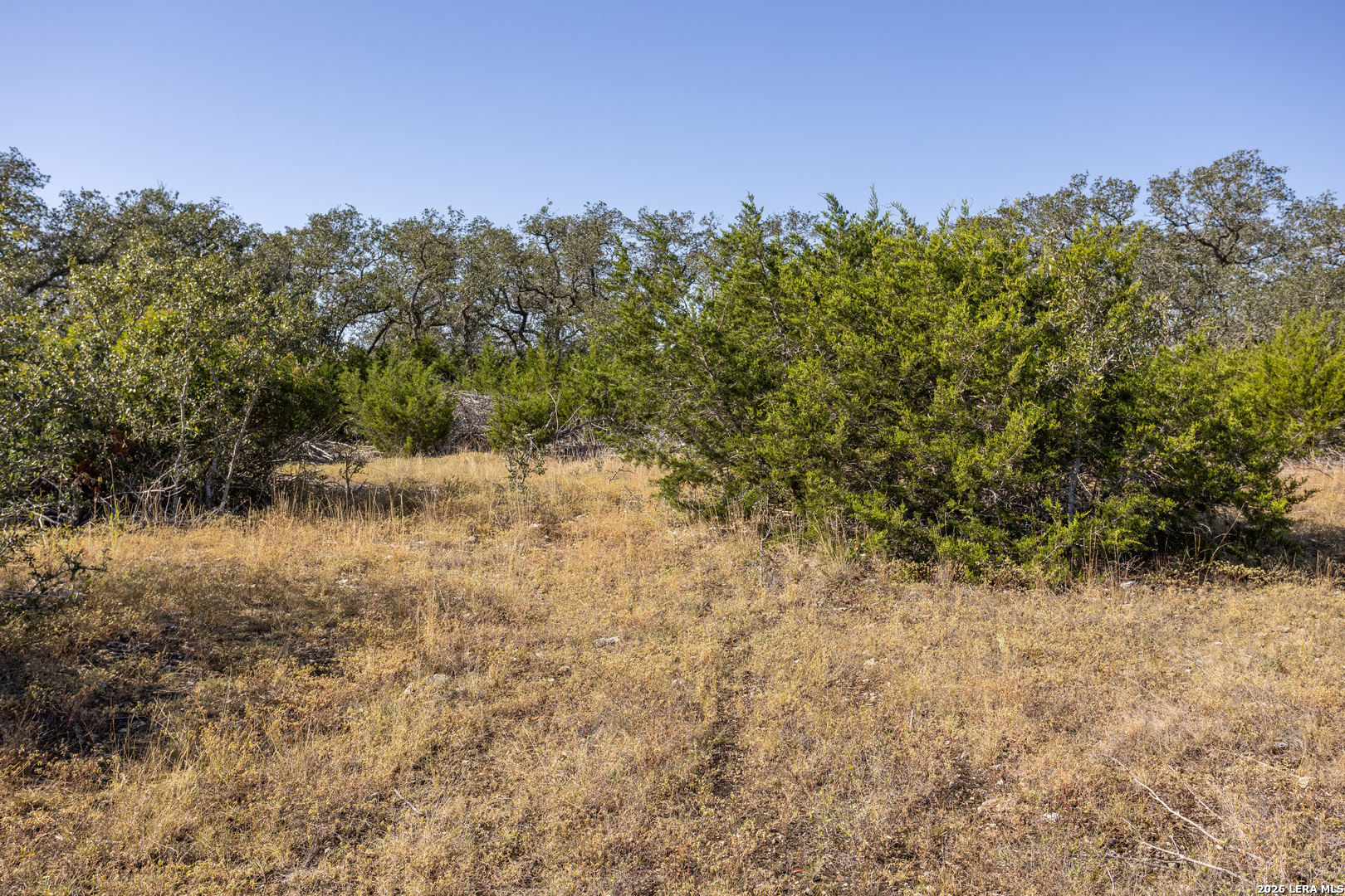 property viewer photo 5