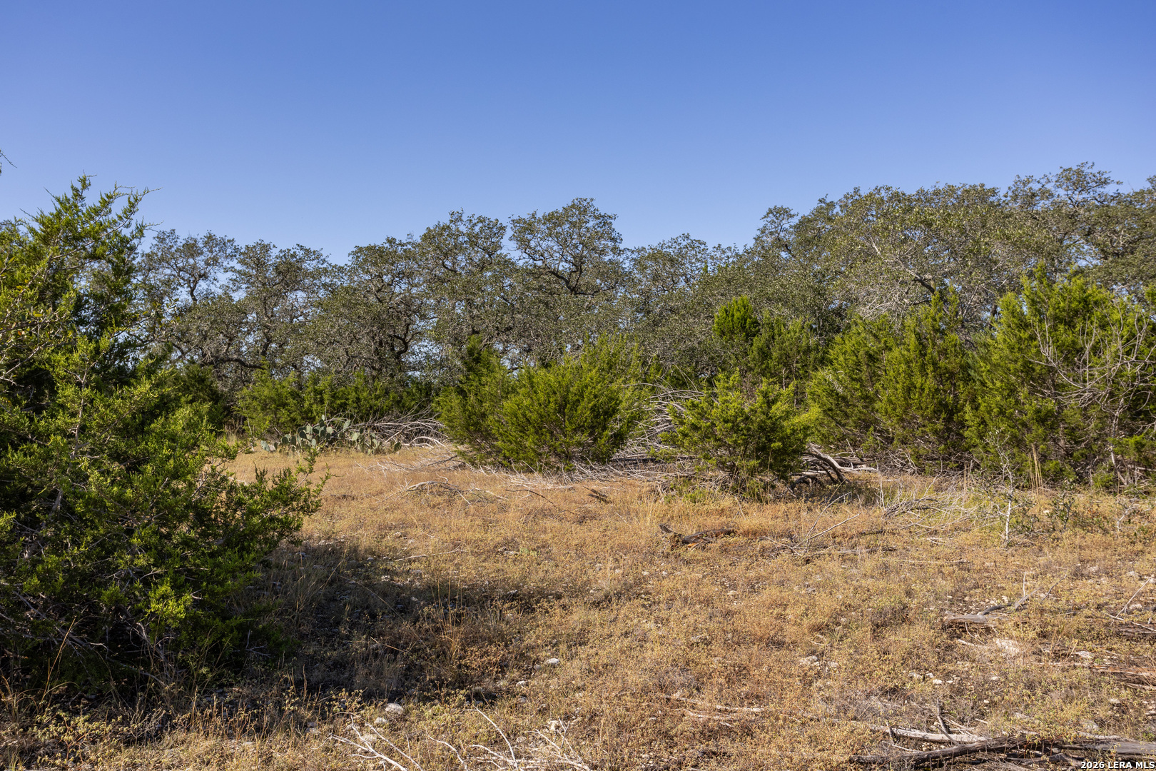 property viewer photo 6