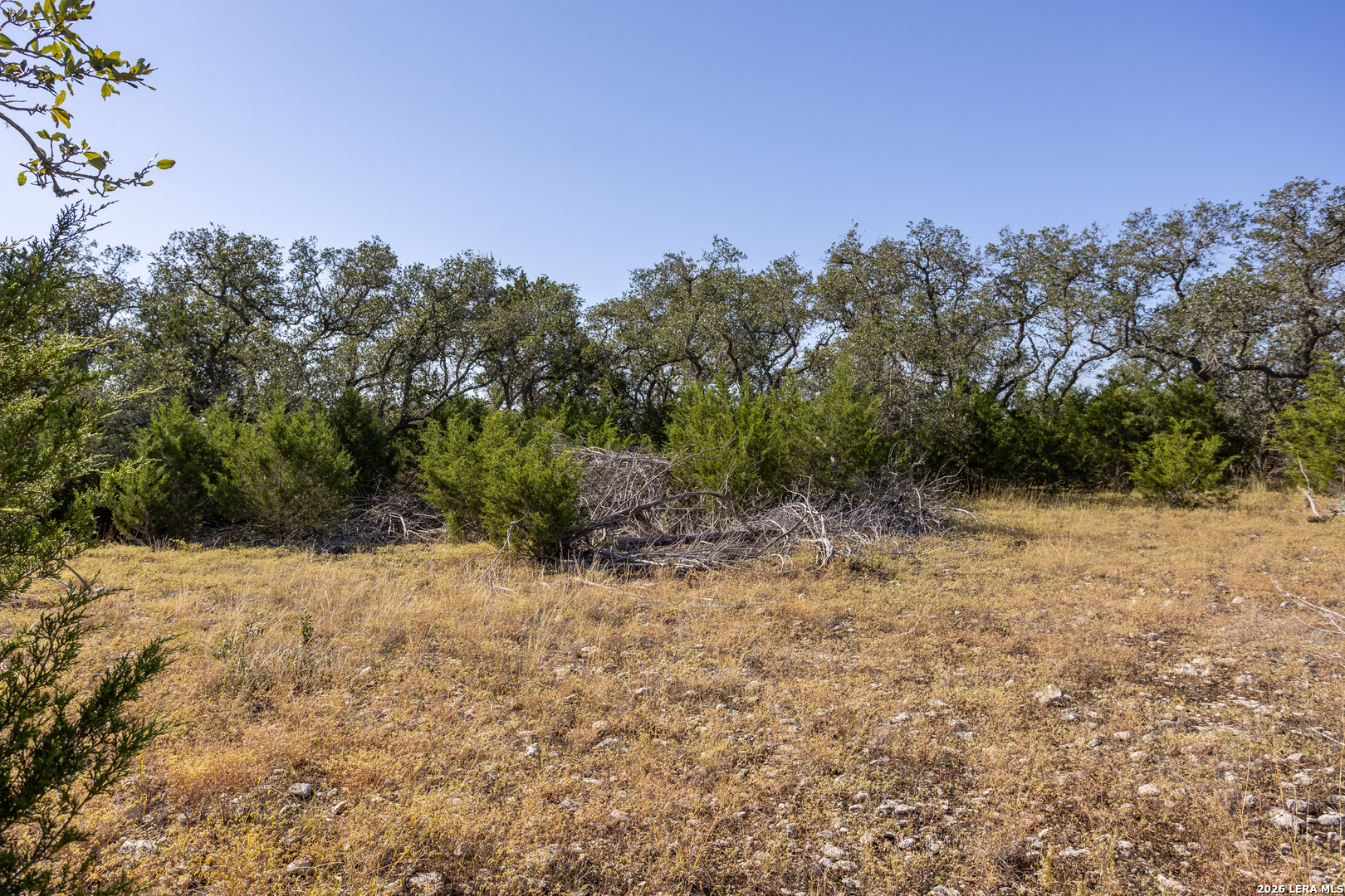 property viewer photo 7