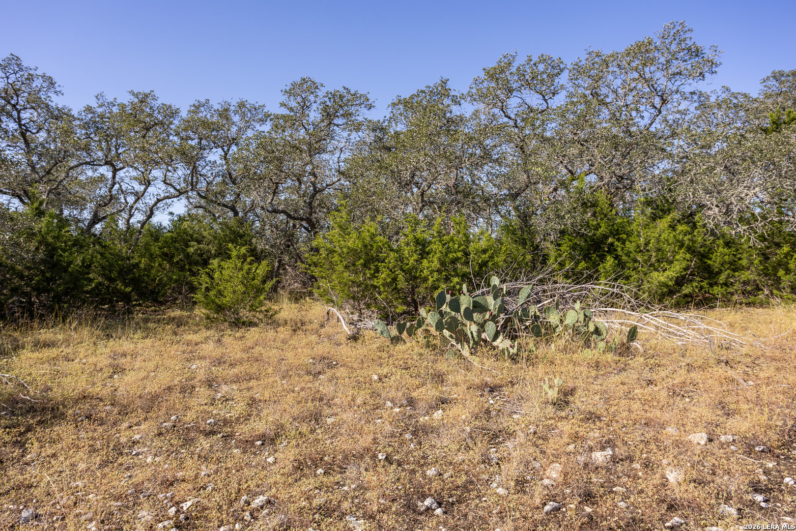 property viewer photo 8
