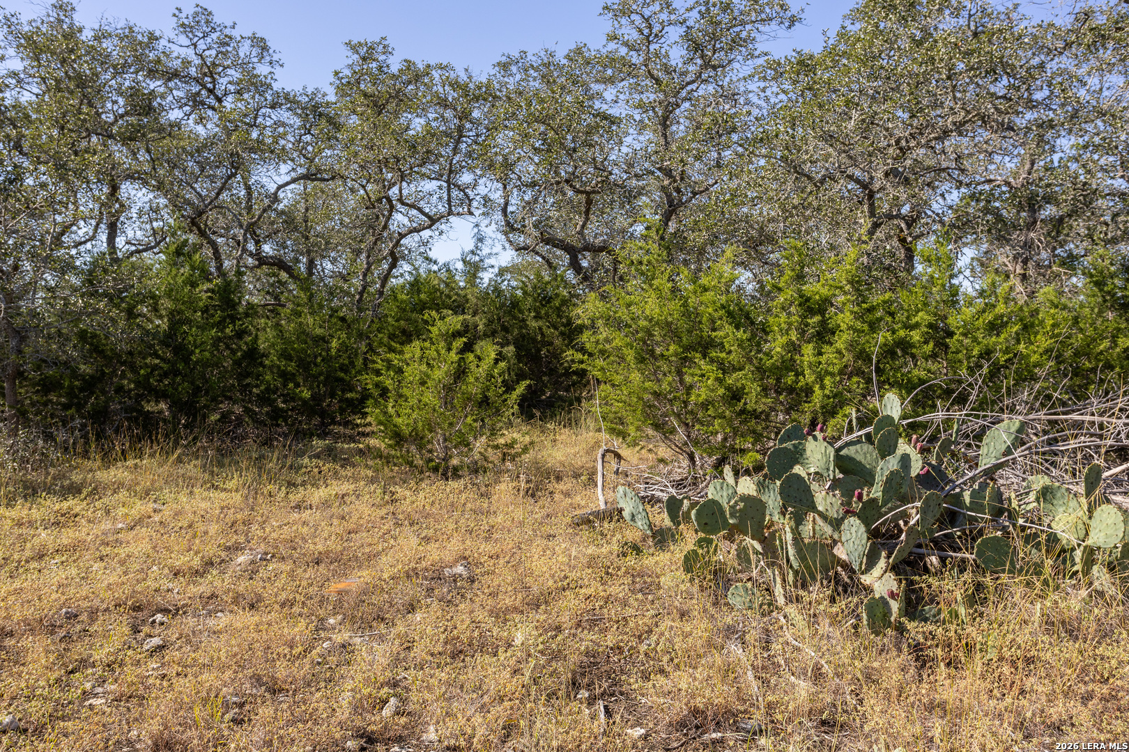 property viewer photo 9