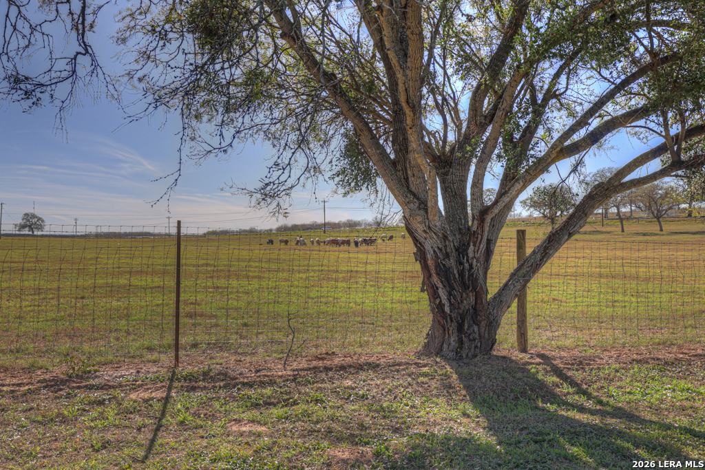 main property photo 47