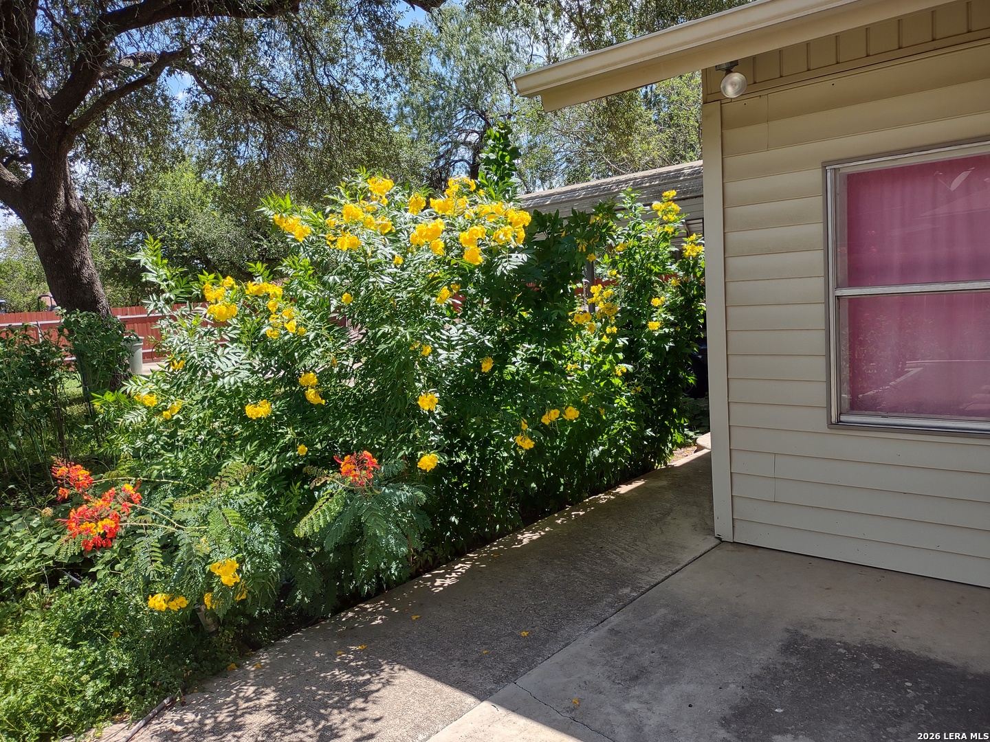 main property photo 39