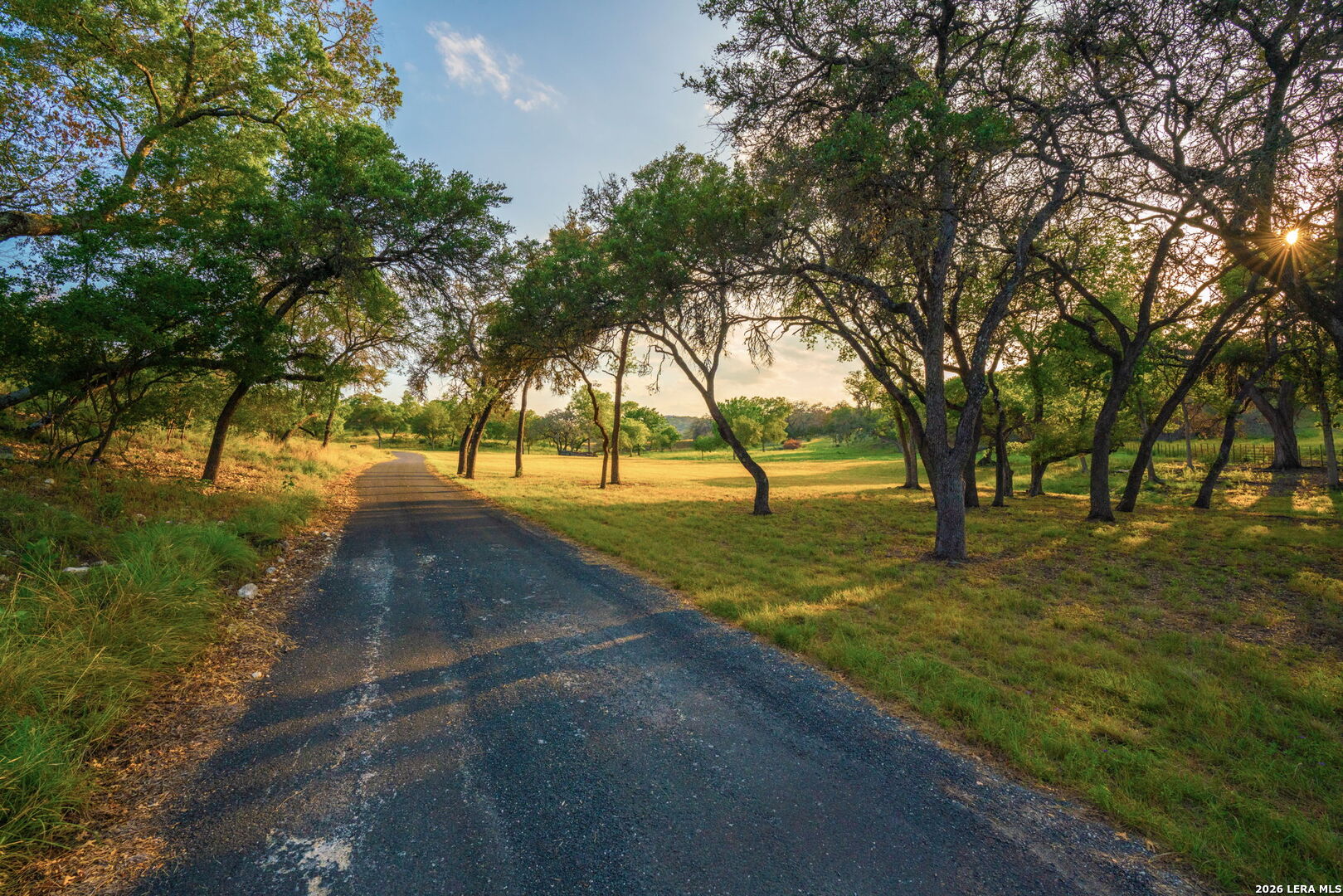 main property photo 54