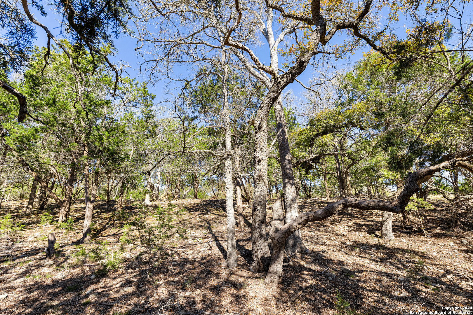 main property photo 27