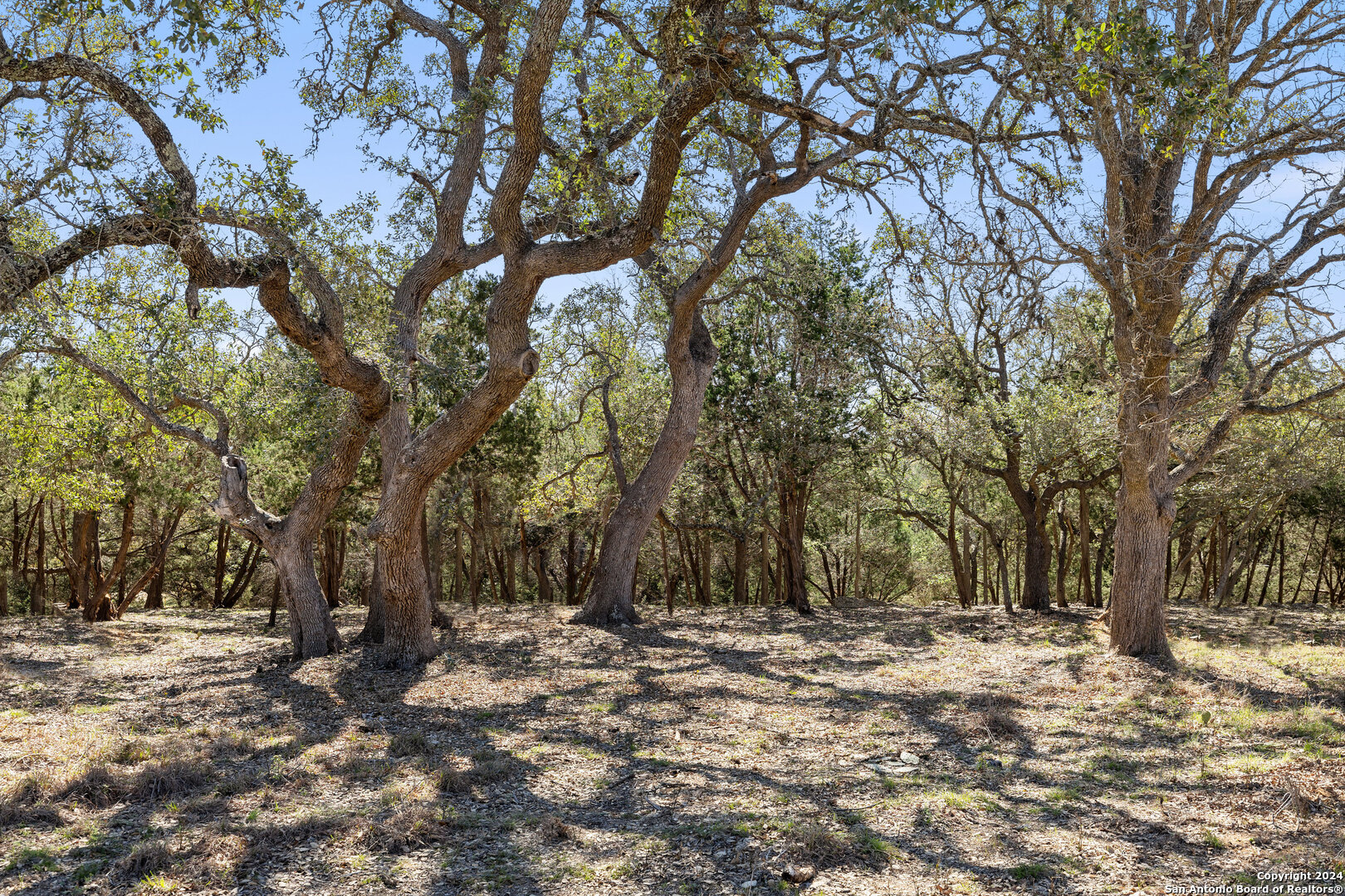 main property photo 35
