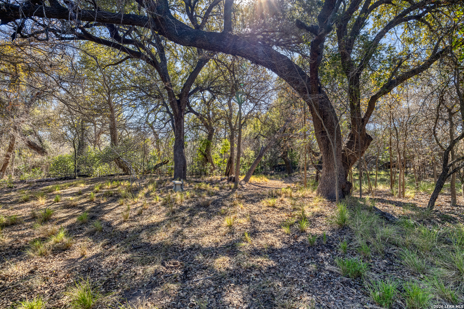main property photo 34