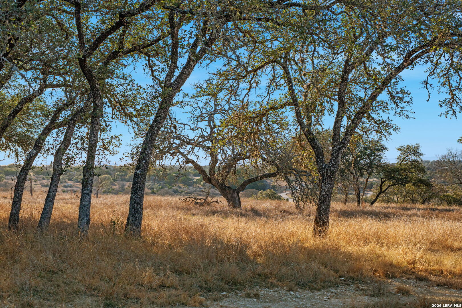 main property photo 63