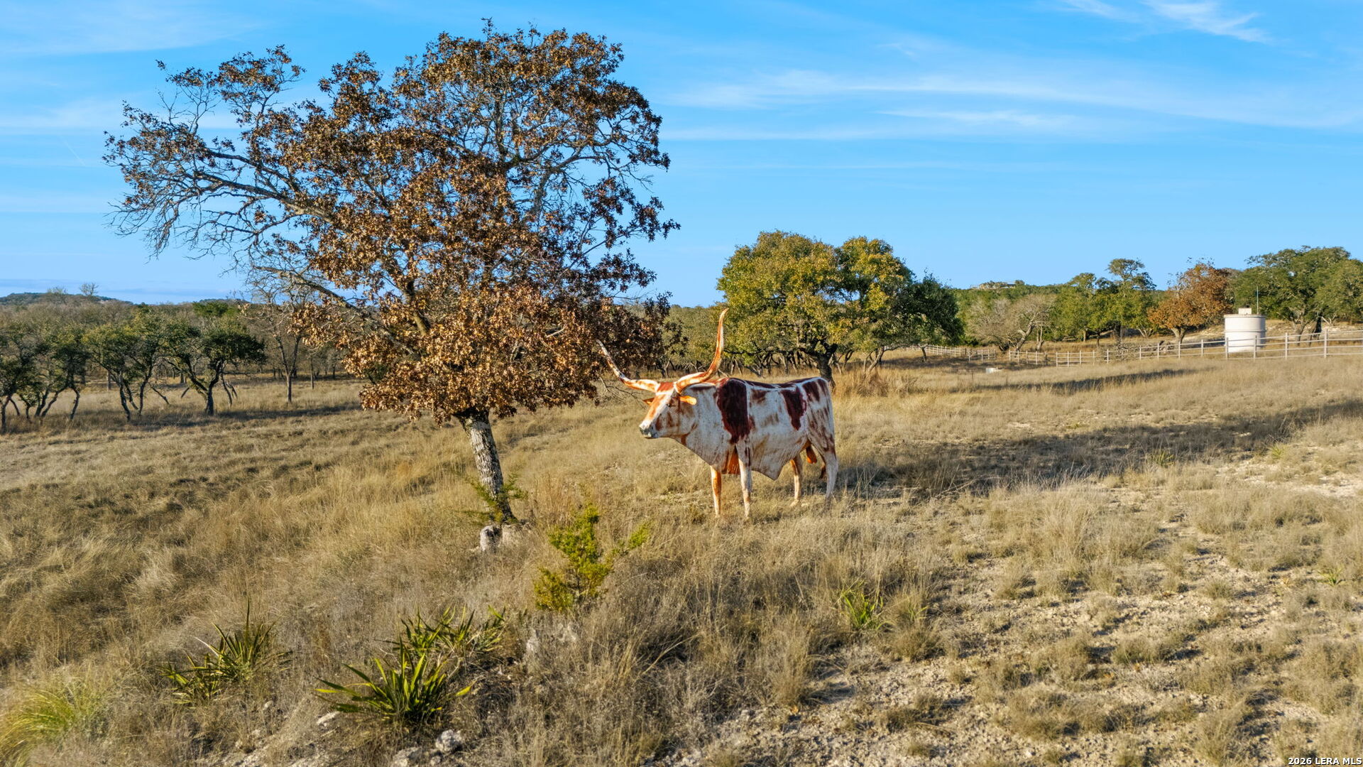 main property photo 73