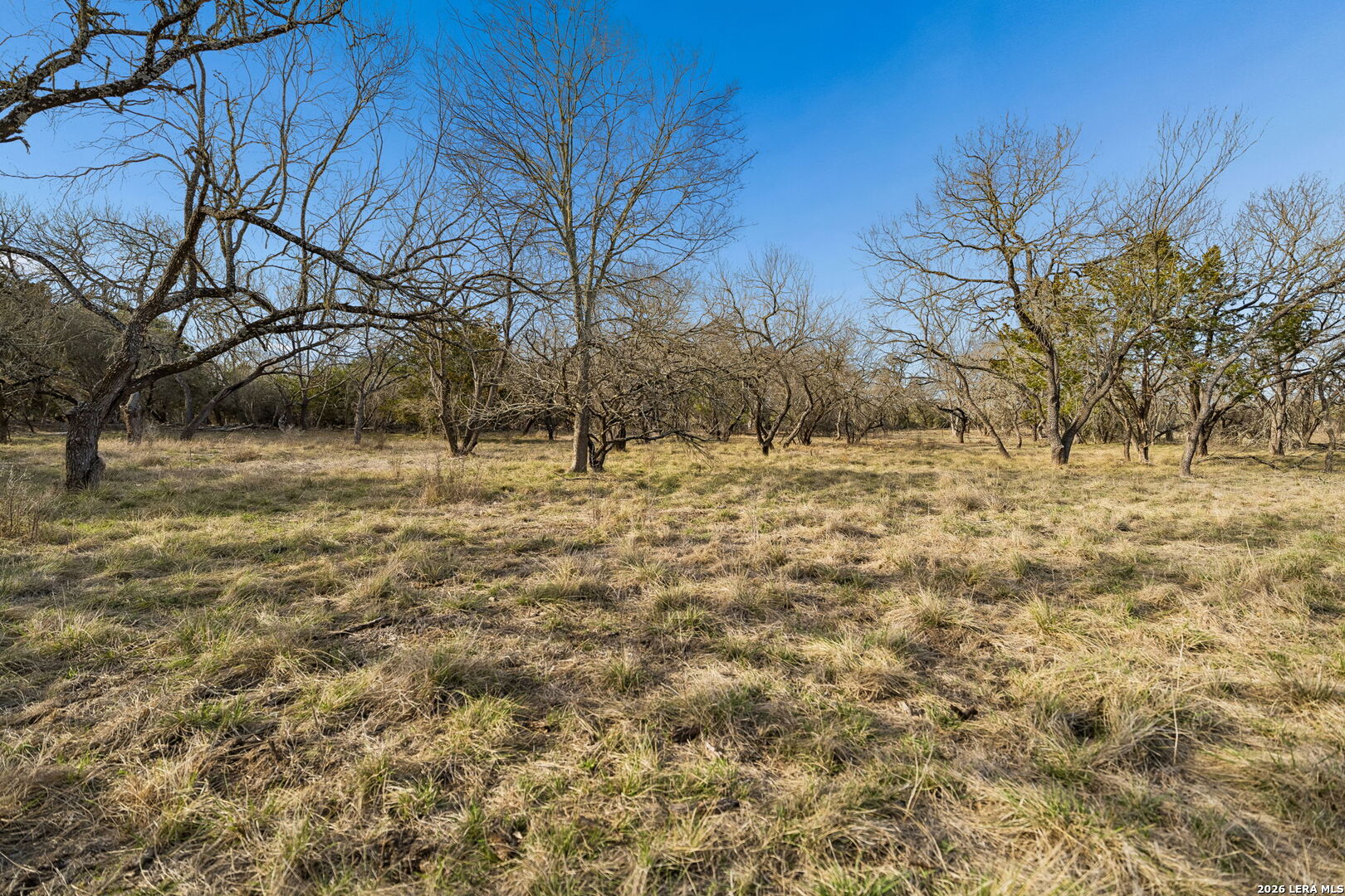 main property photo 11