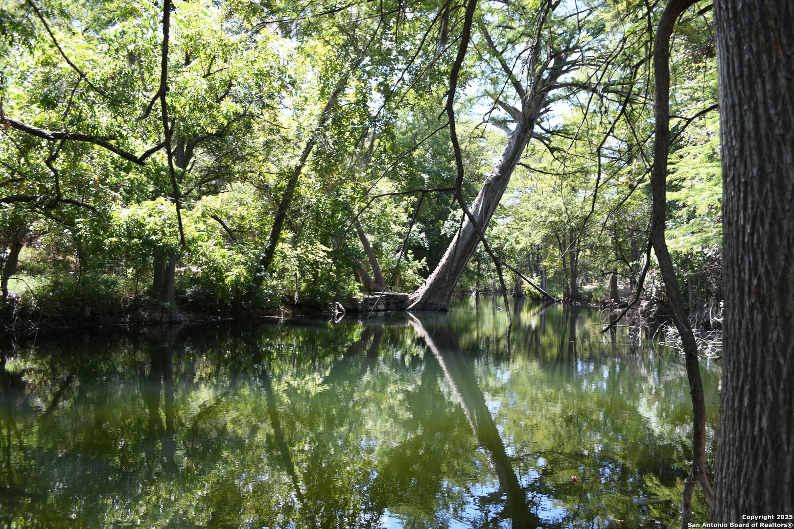 main property photo 11
