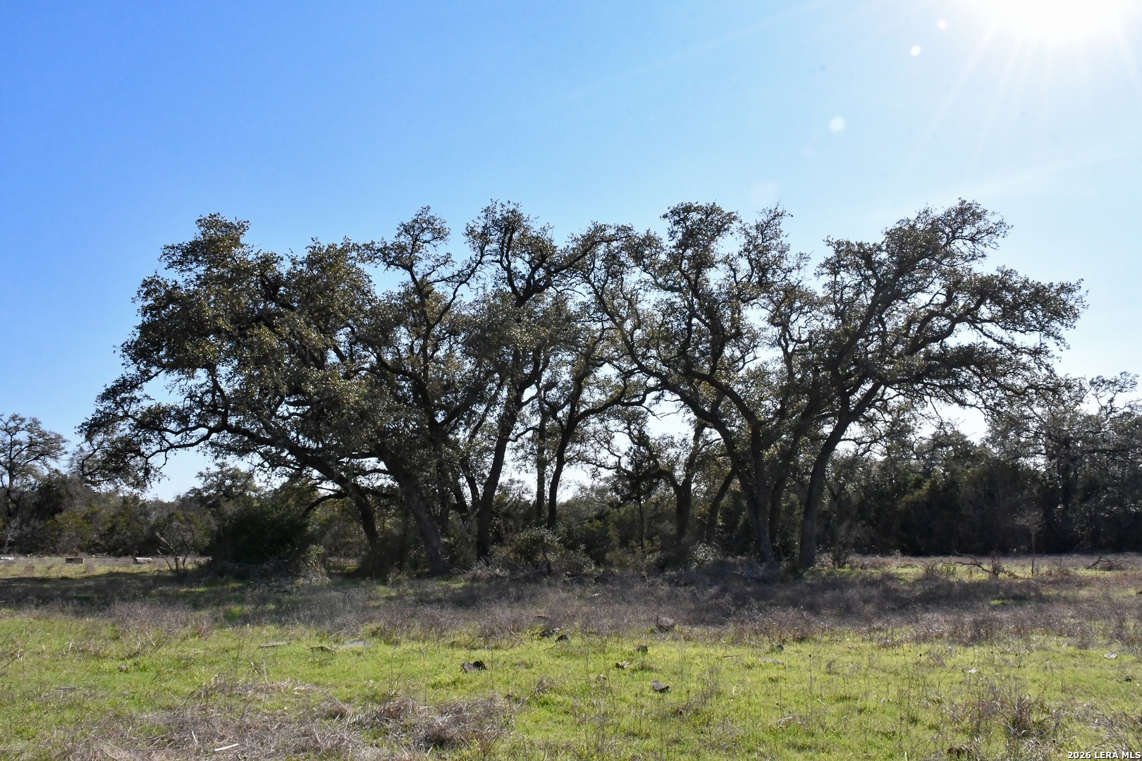 main property photo 11