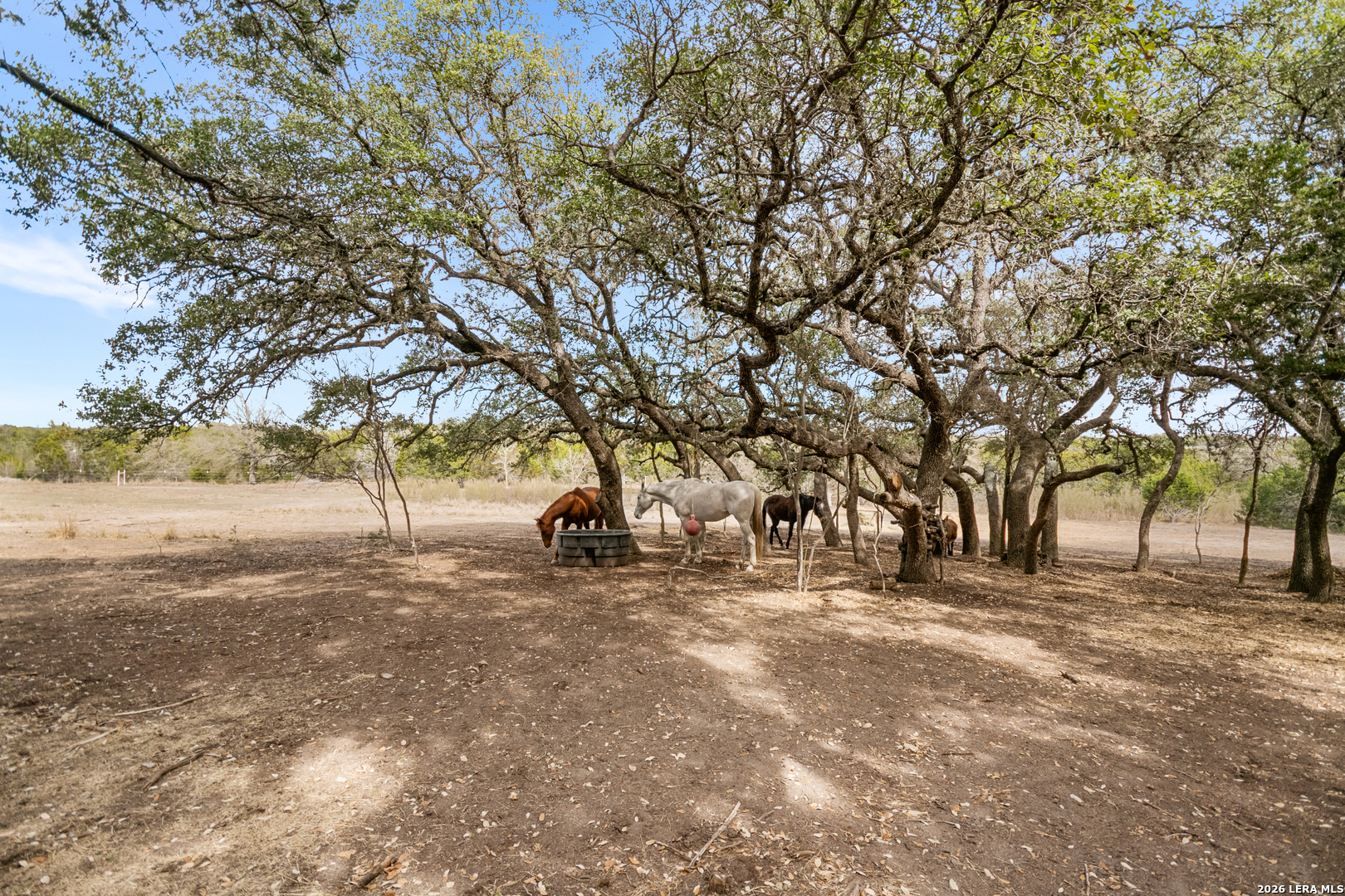 main property photo 50