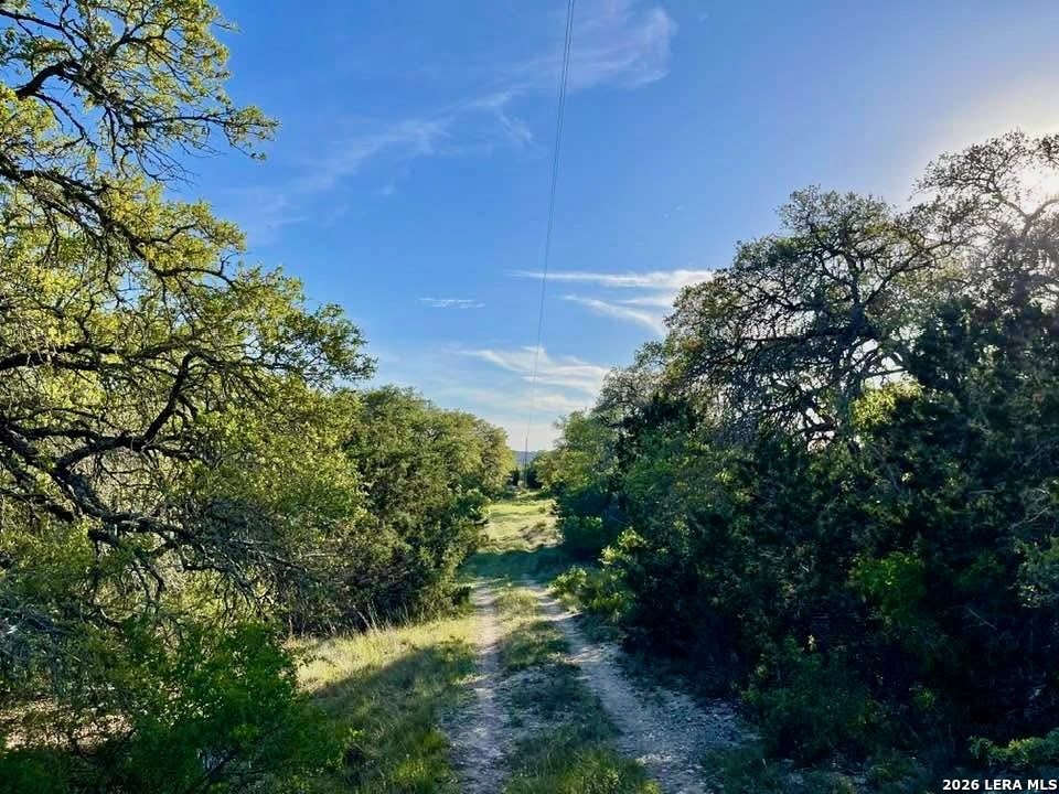 main property photo 9