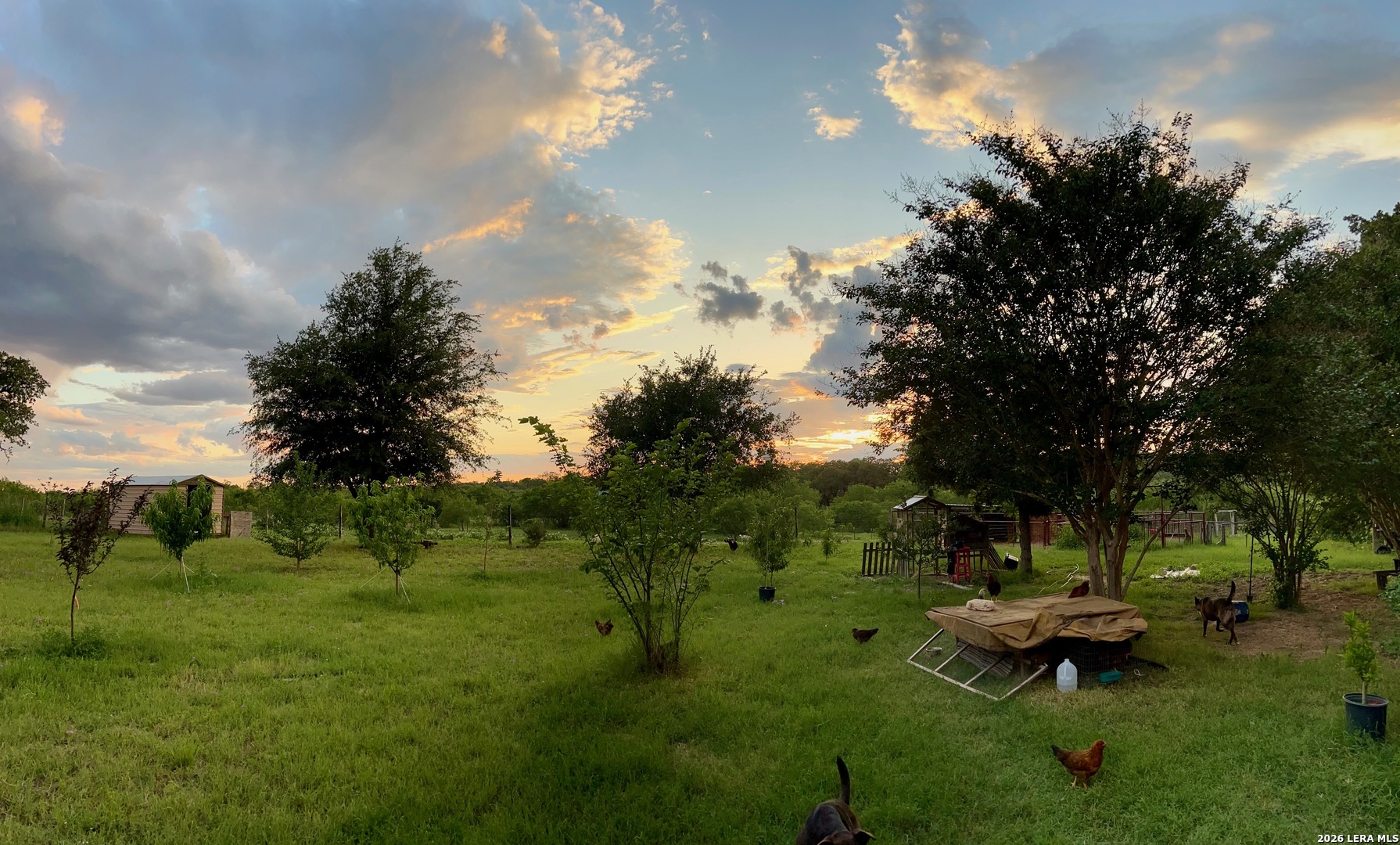 main property photo 49