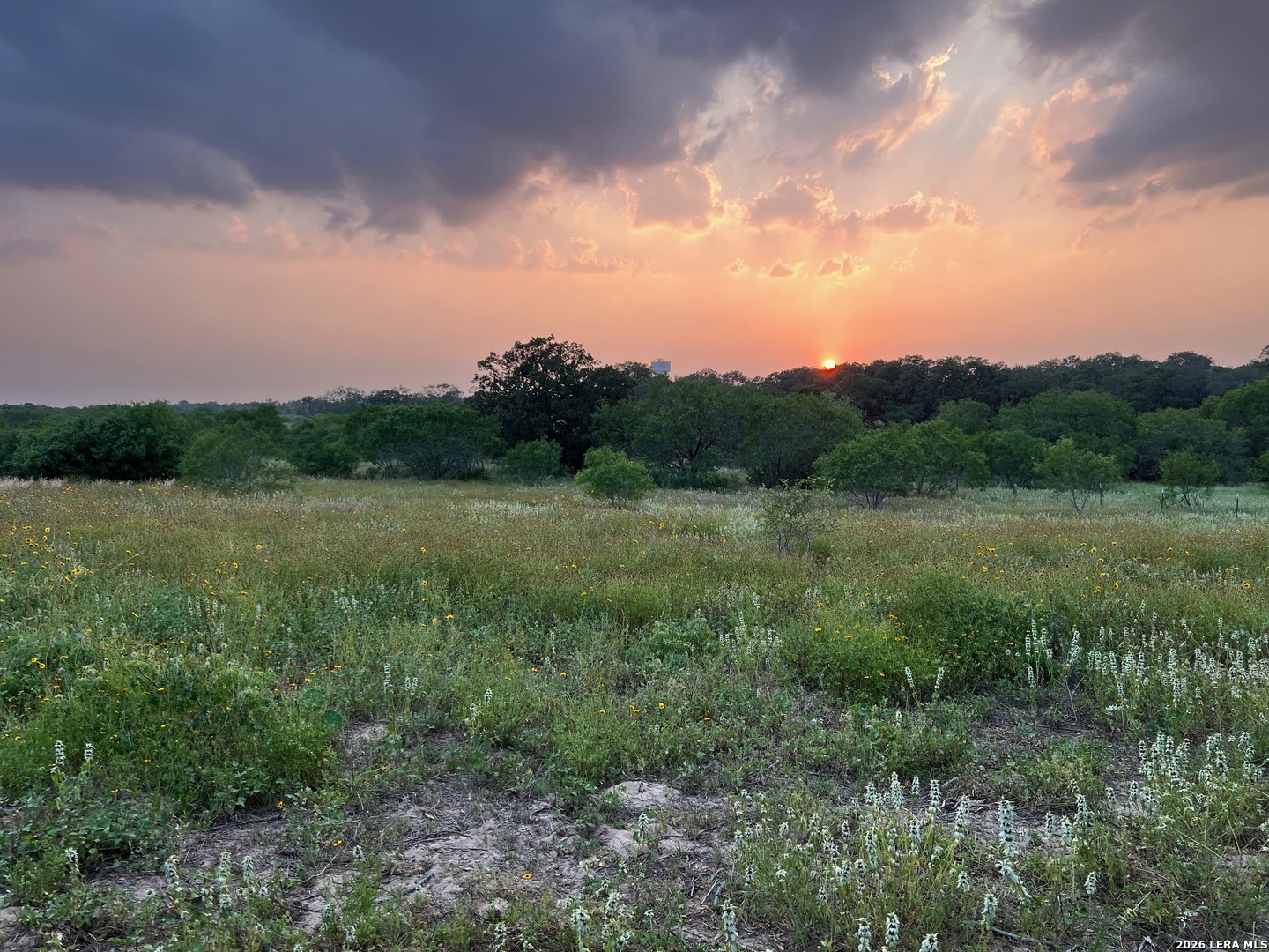 main property photo 51