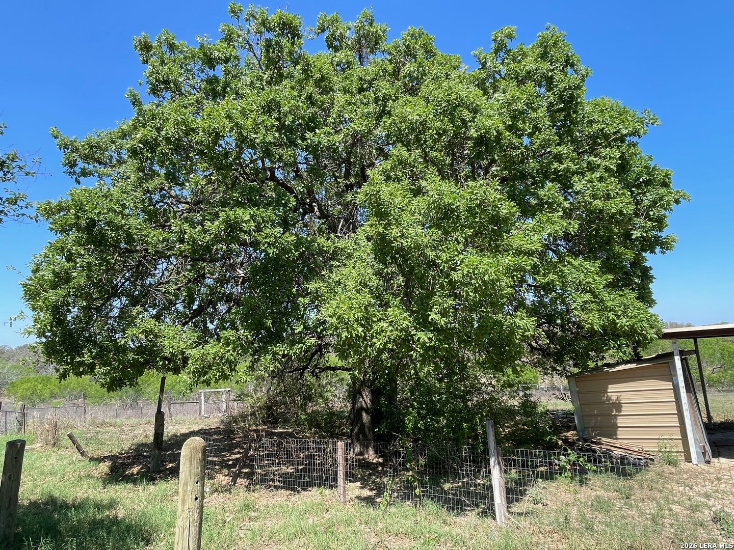 main property photo 59