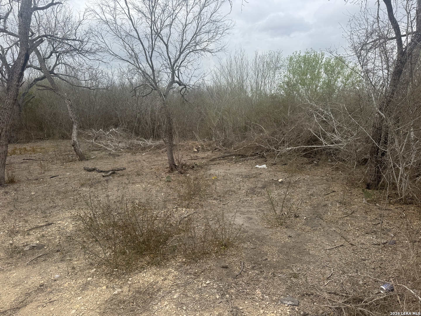 main property photo 6