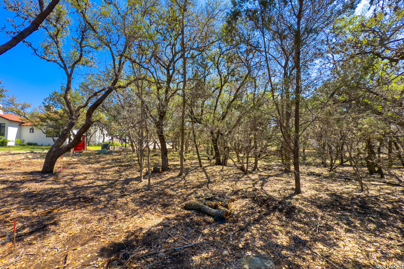 main property photo 11