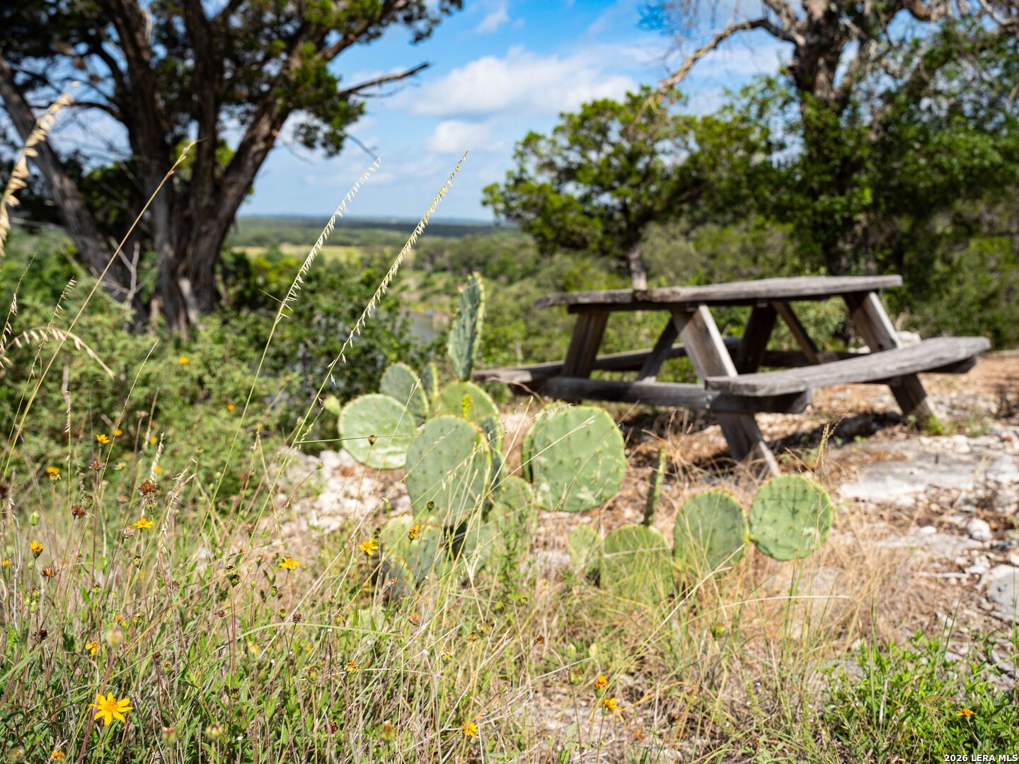main property photo 55