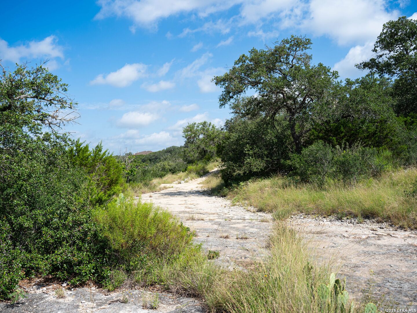 main property photo 61