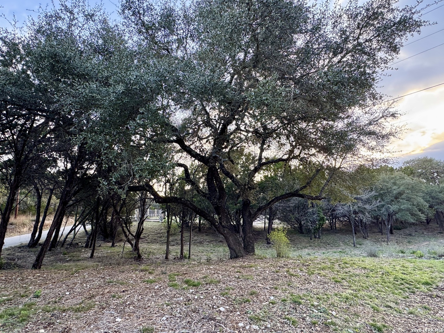 main property photo 8