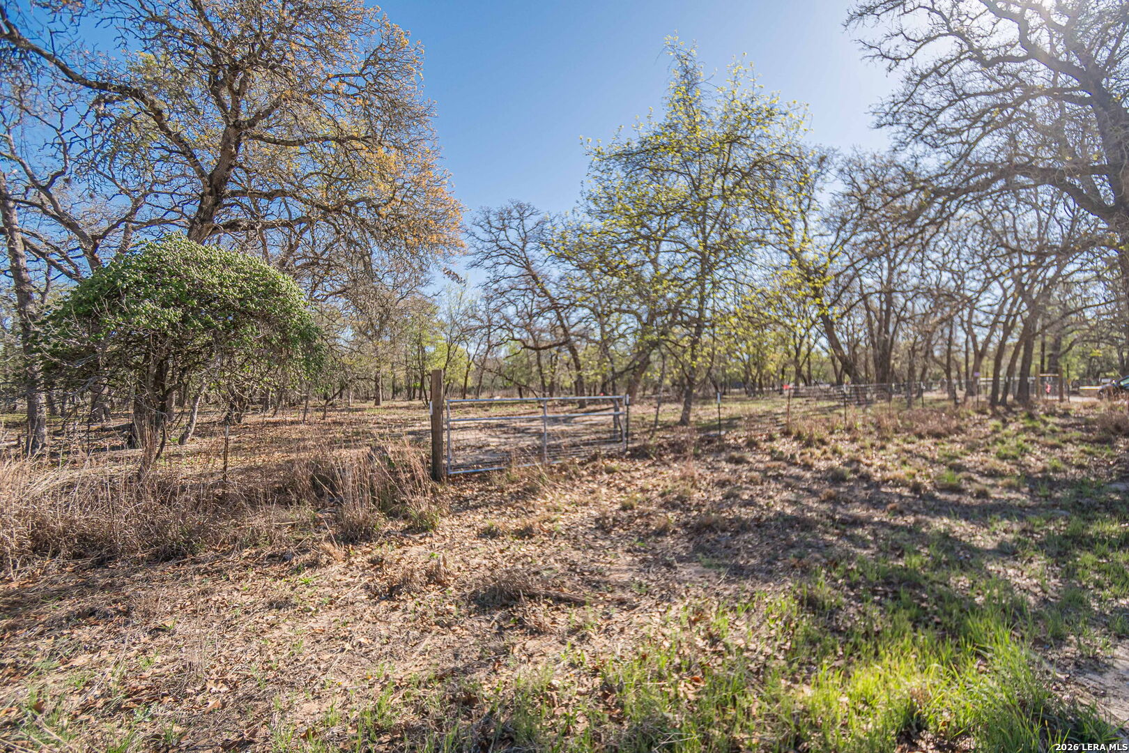 main property photo 11