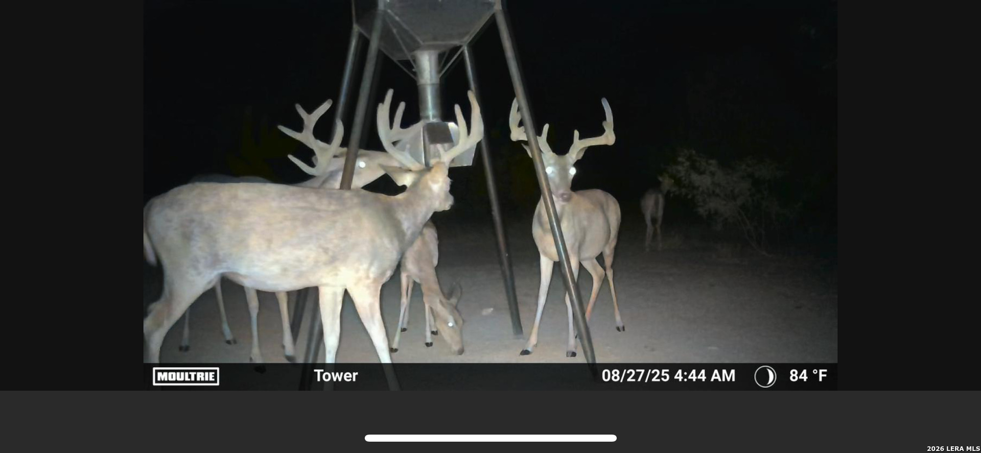 main property photo 50