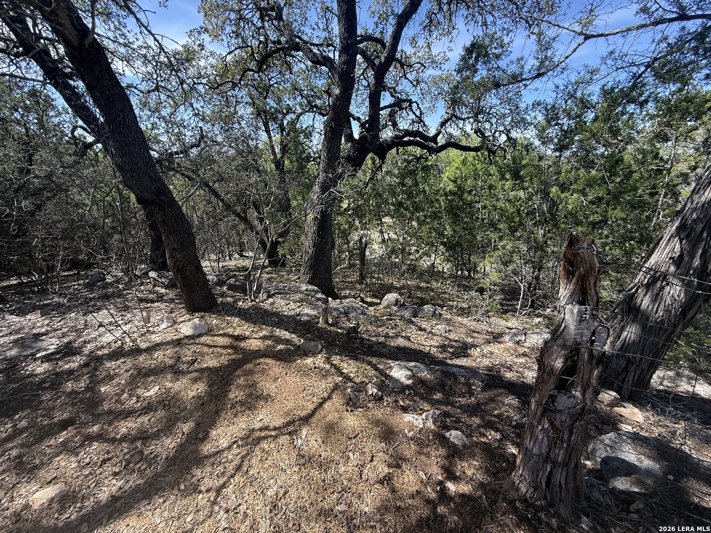 main property photo 44