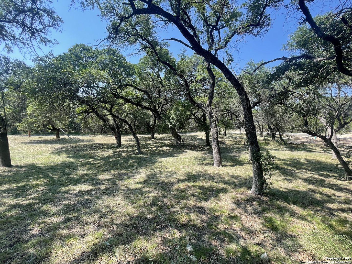 main property photo 6