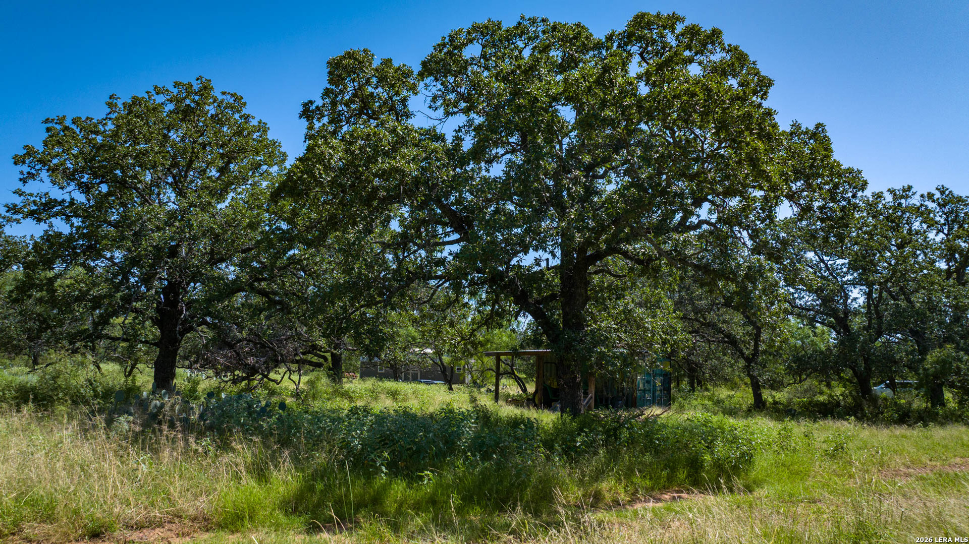 main property photo 11