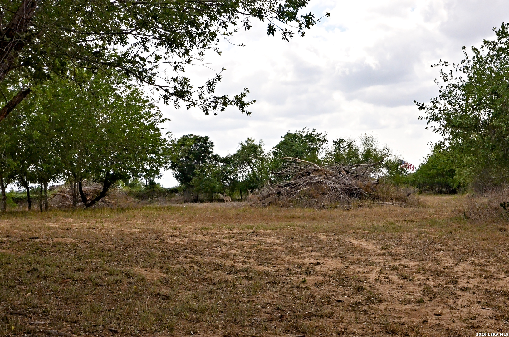 main property photo 14