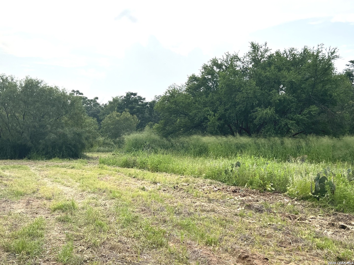 main property photo 16
