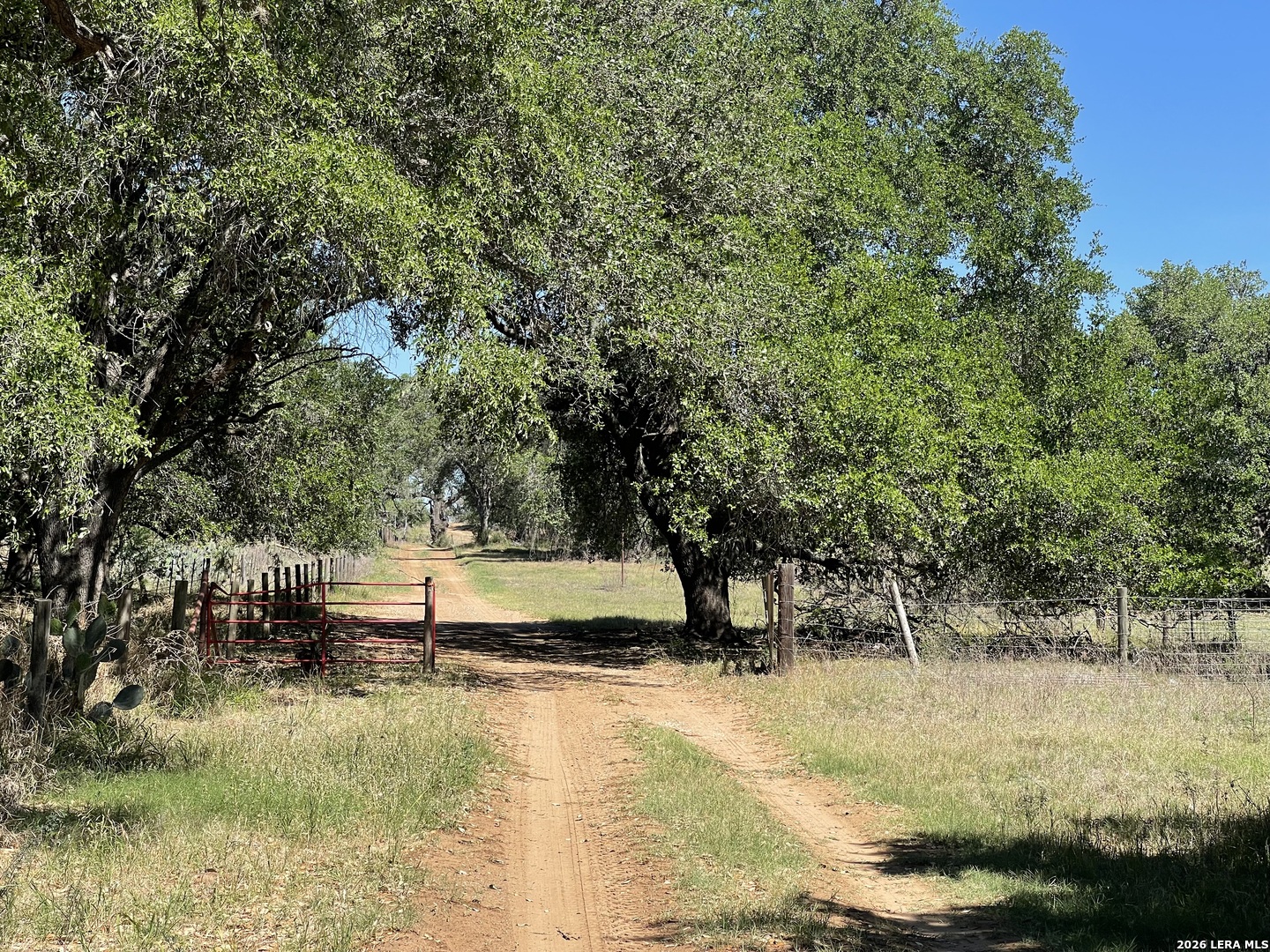 main property photo 46