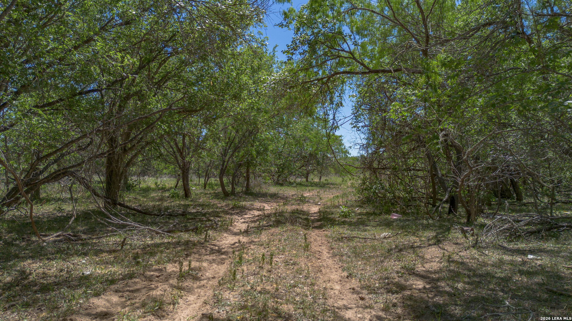 main property photo 7