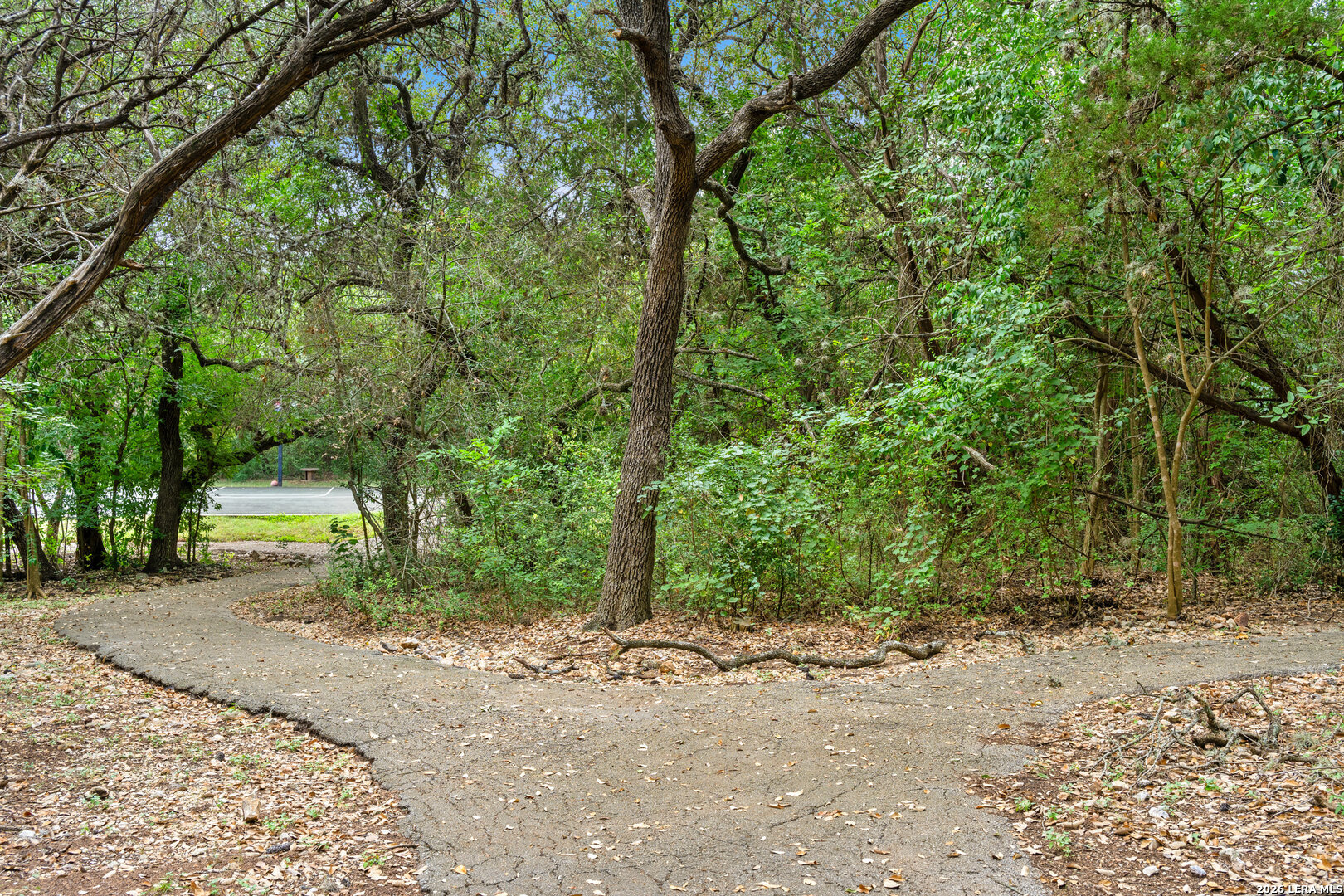 main property photo 84